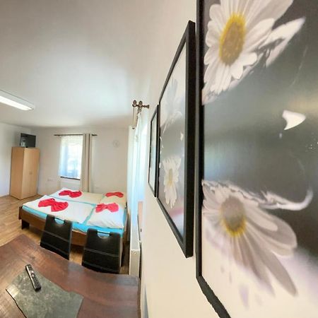 Apartment Nedrik 捷克布杰约维采 外观 照片